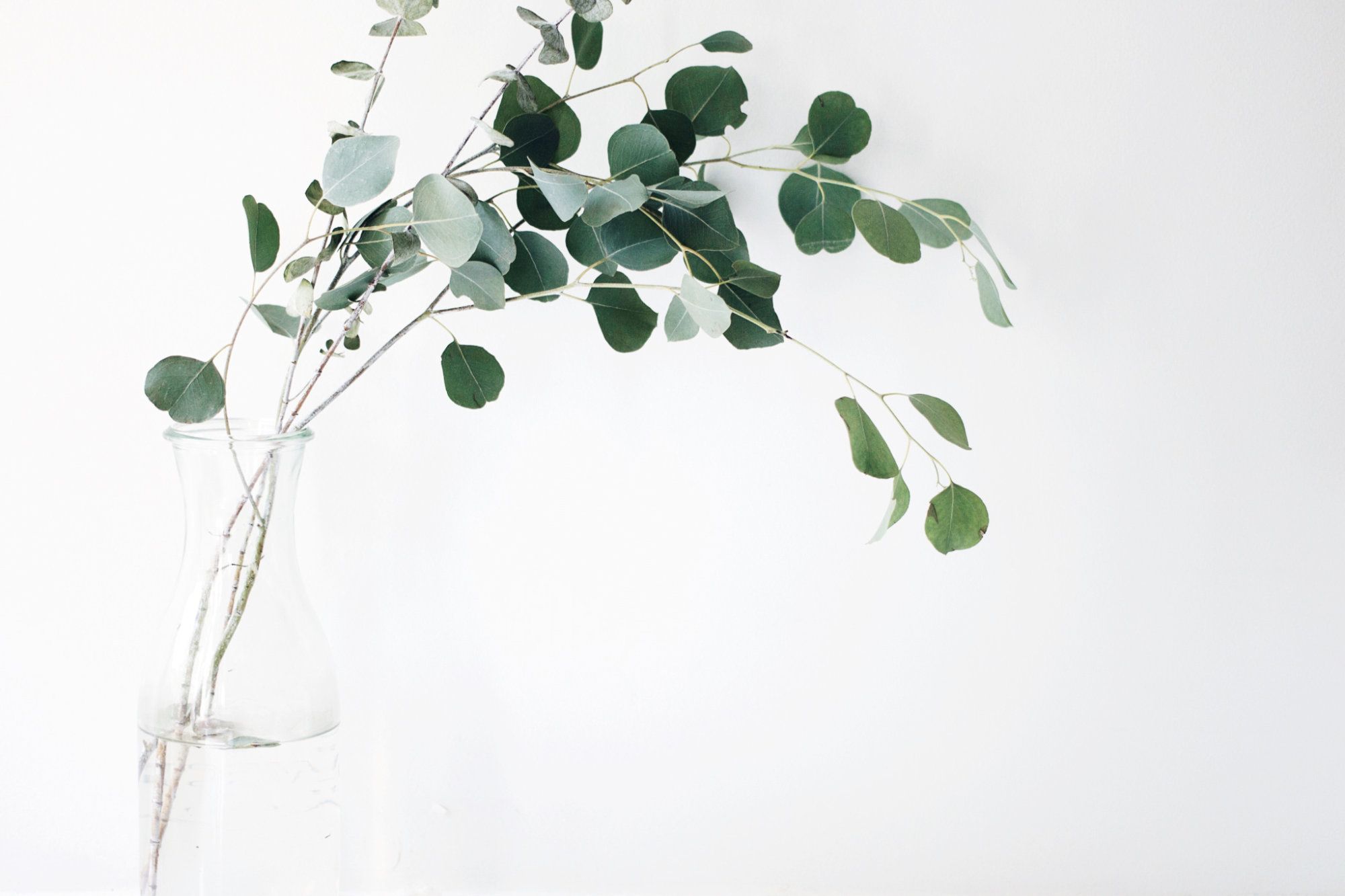 ©Jazmin Quaynor z unsplash Omejitev osebne svobode prebivalcev in prebivalk