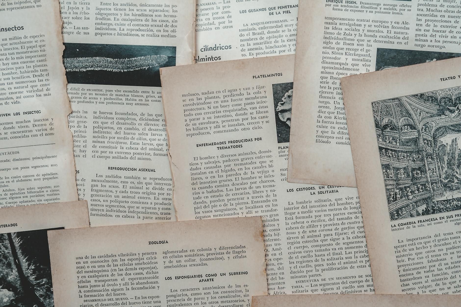 Arturo A / PEXELS Vodenje po razstavi „arbeit 1938–1945“ in delavnica „Mladina v nacionalsocializmu“