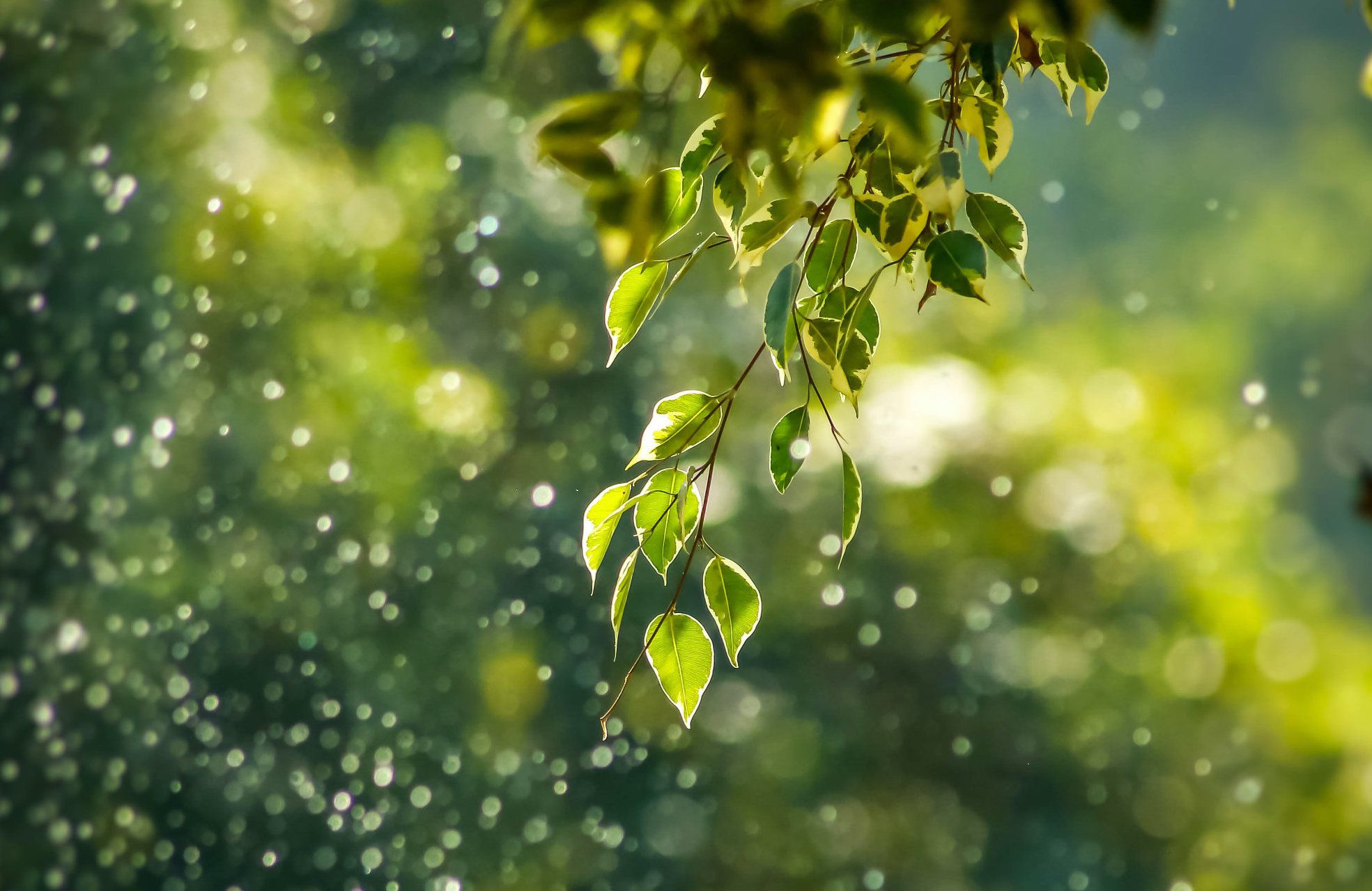Webinar: Am schmalen Grat: Suchtmittelrecht für Pflege- und Sozialberufe